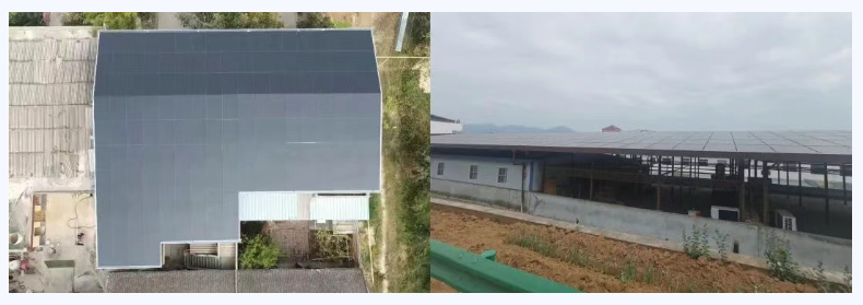 111760164812524611.png ScreenShot_2025-10-11_143736_773.png